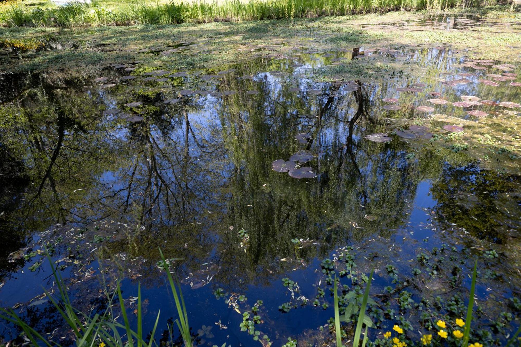 Il Casale Di Villa Rossi Лука Екстериор снимка